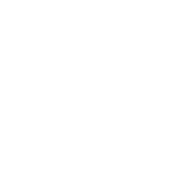 sole_white2